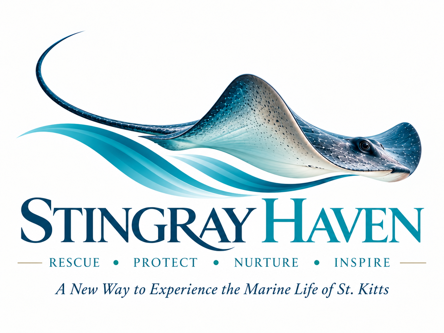 Stingray Haven — Rescue, Protect, Nurture, Inspire